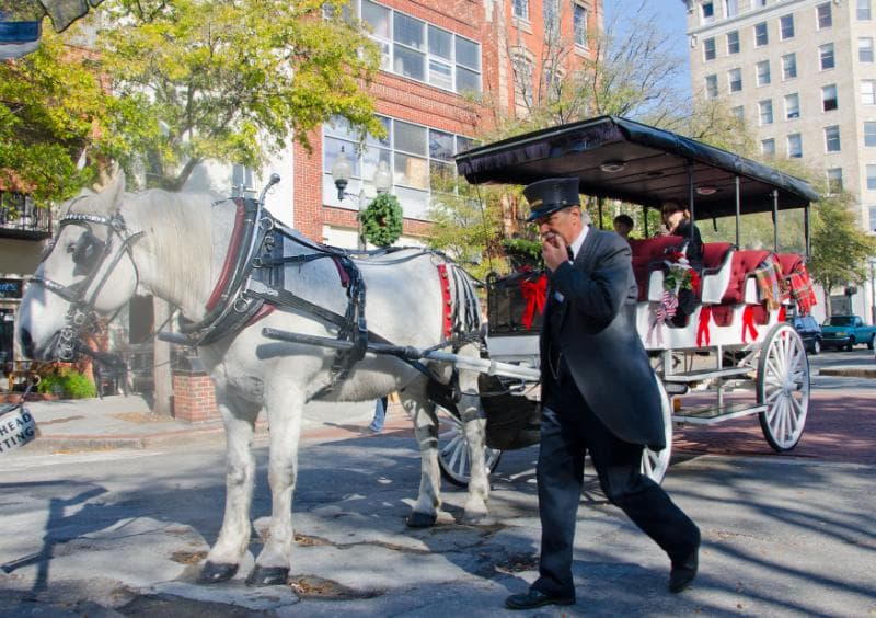 horse drawn carriage at christmas