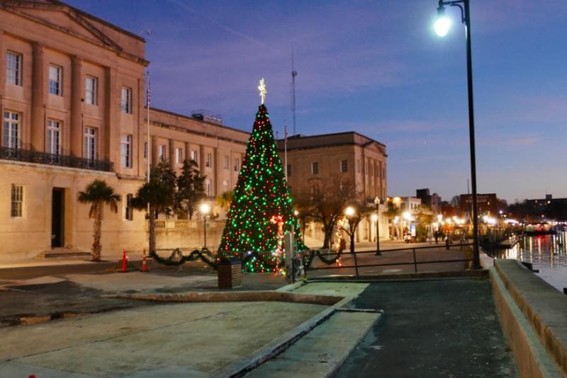 christmas tree in downtown wilmington